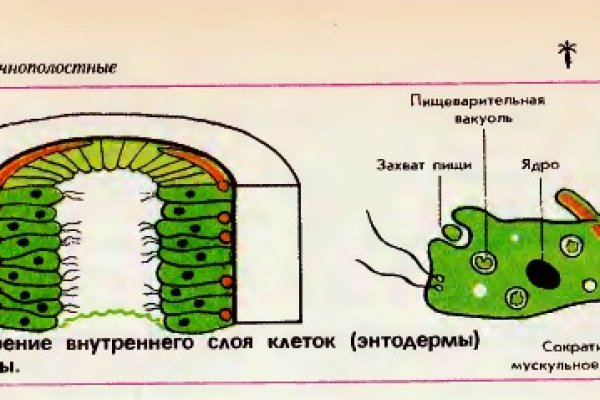 Кракен как зайти на сайт